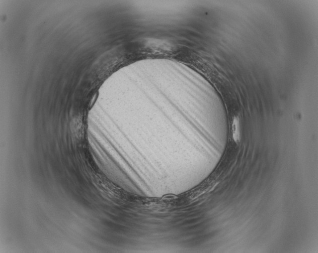 X0000088461395200706121452