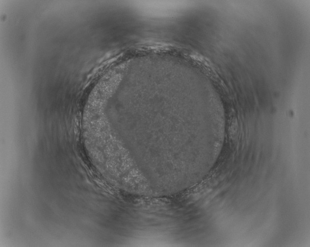 X0000088461397200706121452