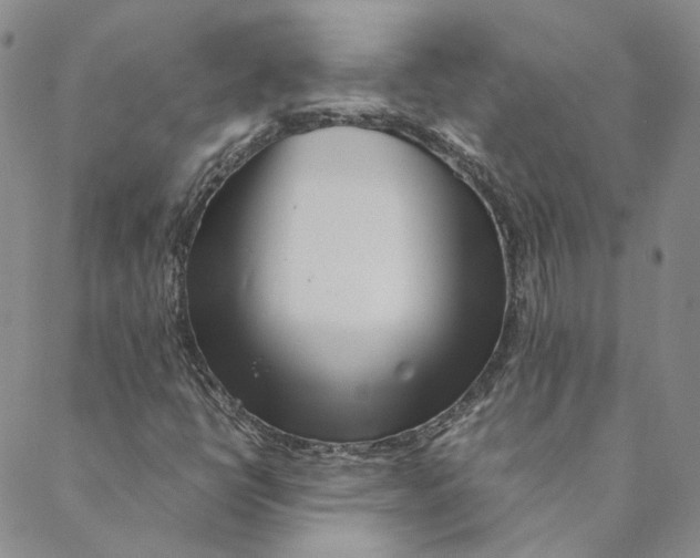 X0000088461398200706121452