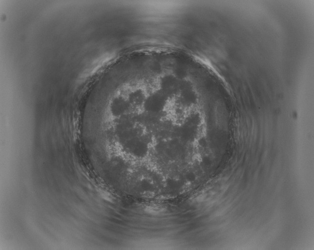 X0000088461399200706121452