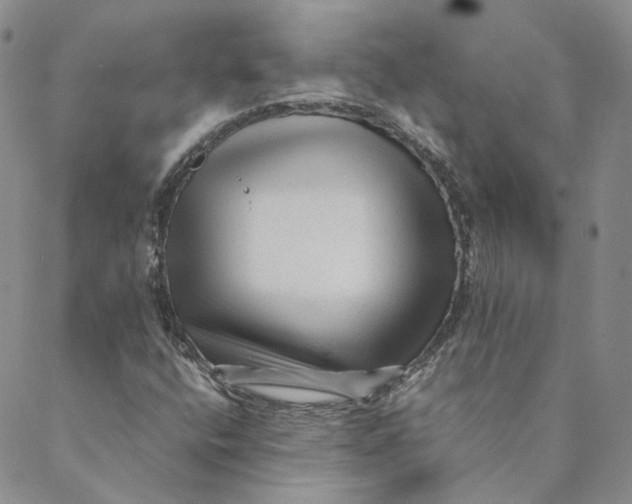 X0000088461400200706121453