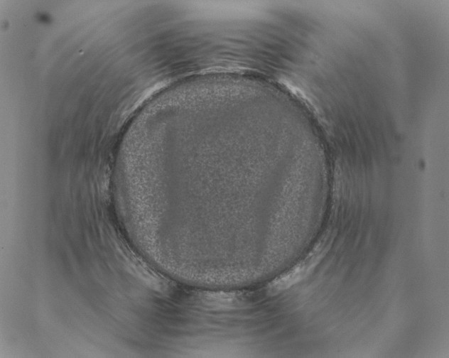 X0000088461401200706121453