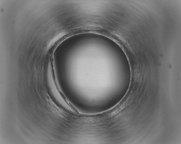 X0000088461402200706121453