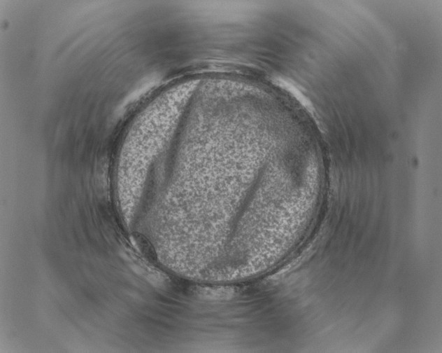 X0000088461403200706121453