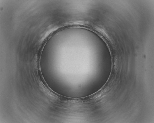 X0000088461404200706121453