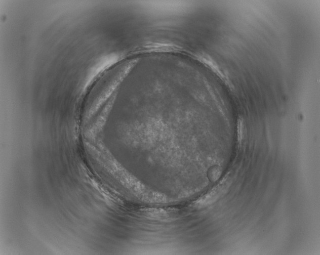 X0000088461405200706121453