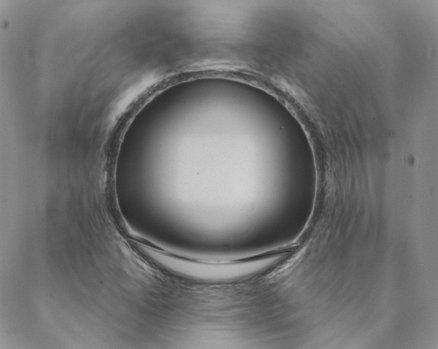 X0000088461406200706121453