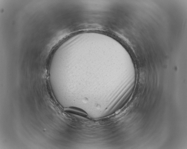 X0000088461407200706121453