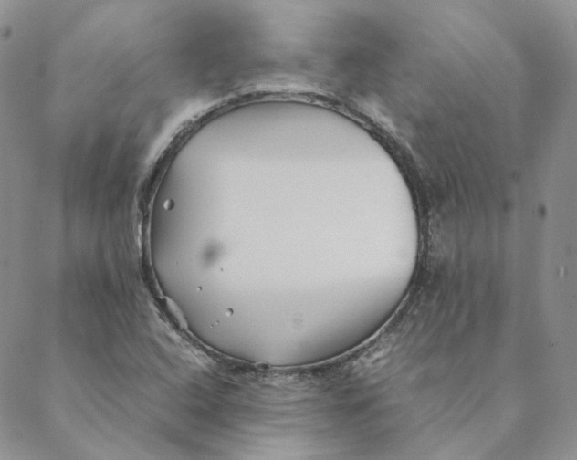 X0000088461408200706121453