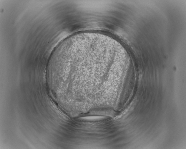 X0000088461409200706121453