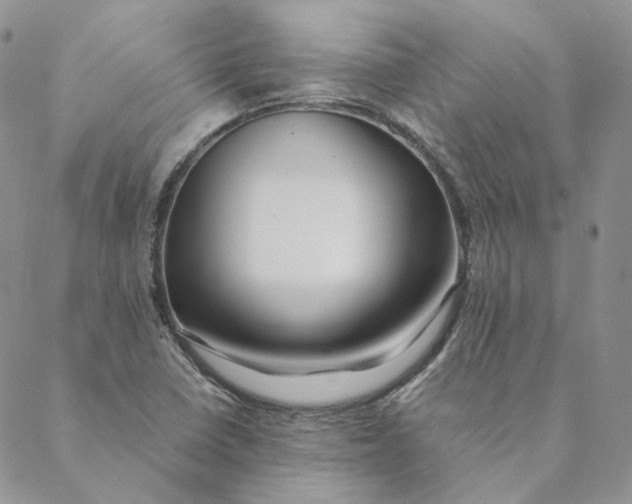 X0000088461410200706121453