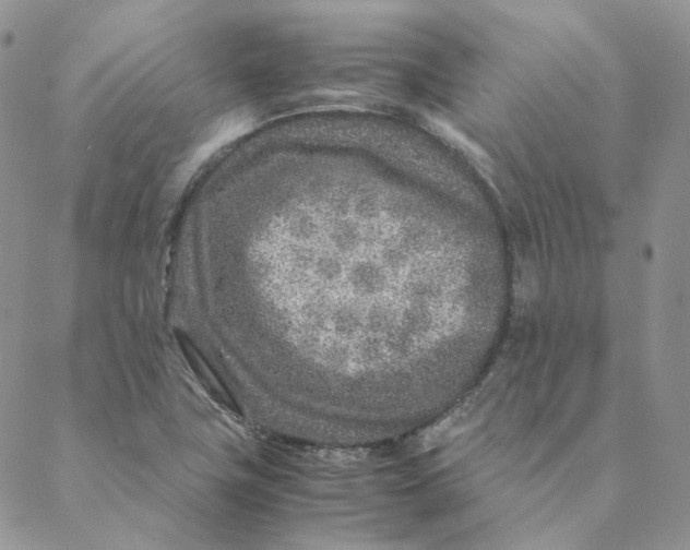 X0000088461411200706121453