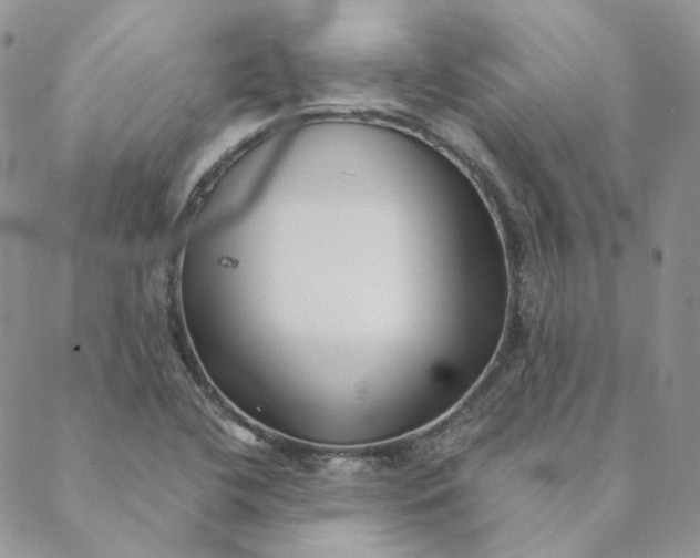 X0000088461412200706121453