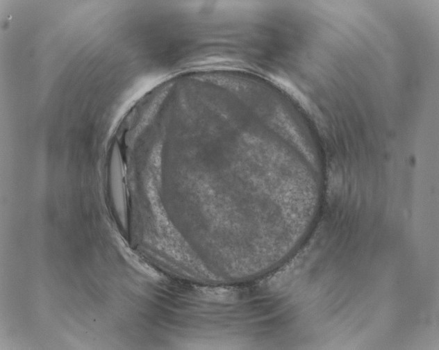 X0000088461413200706121453