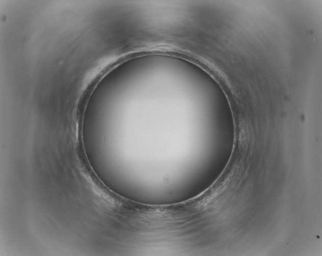 X0000088461414200706121453