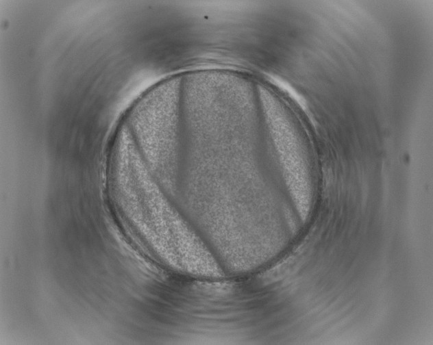 X0000088461415200706121453