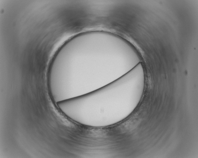 X0000088461416200706121453