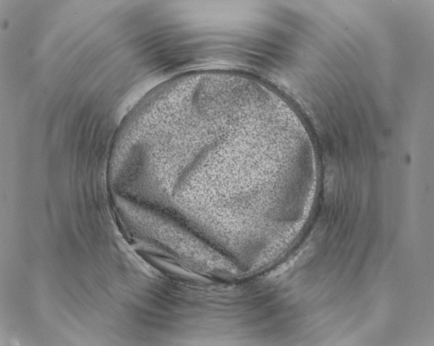 X0000088461417200706121453