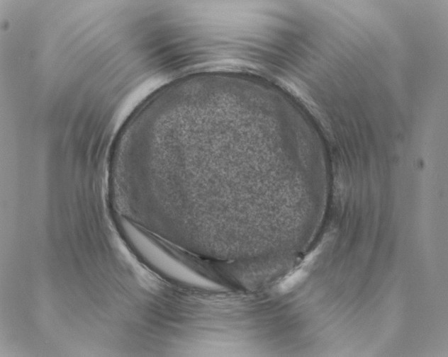 X0000088461418200706121453