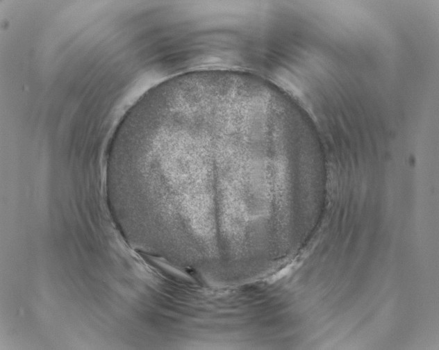 X0000088461419200706121453