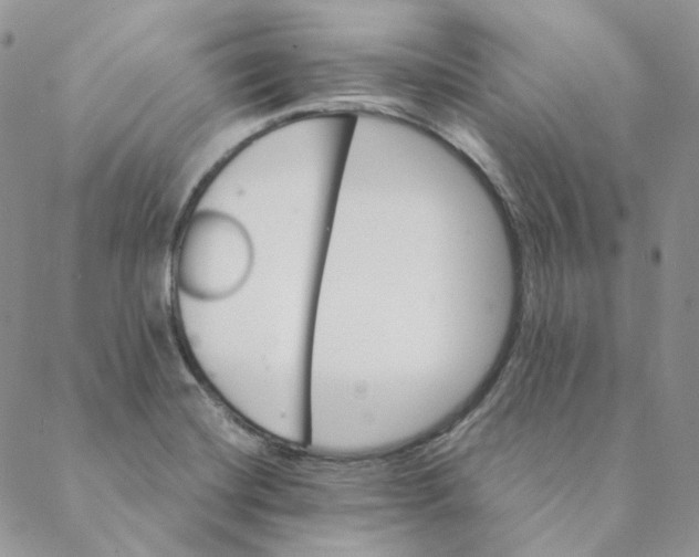 X0000088461420200706121453