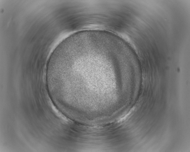 X0000088461421200706121453