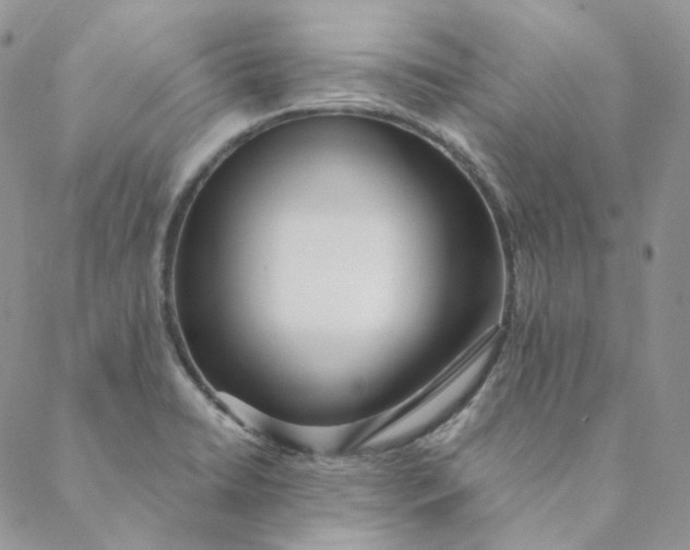 X0000088461422200706121453