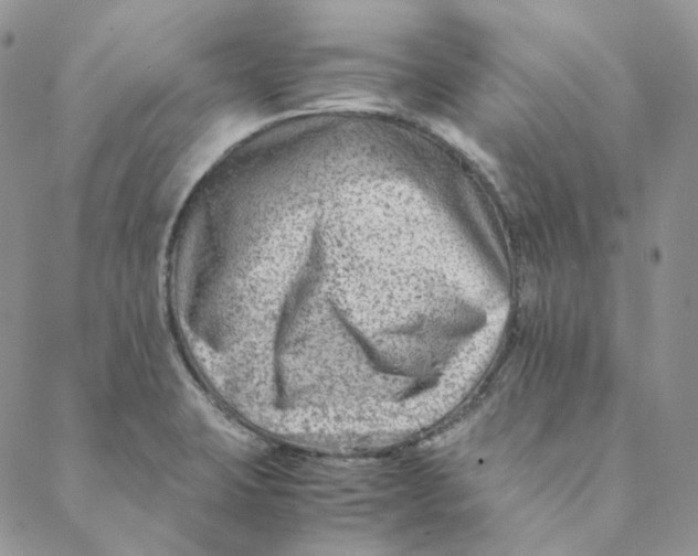 X0000088461423200706121453