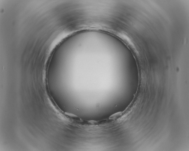 X0000088461424200706121453