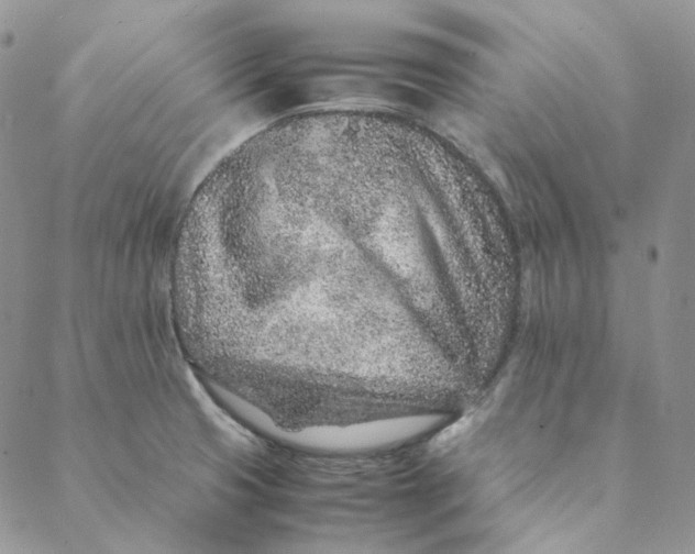 X0000088461425200706121453