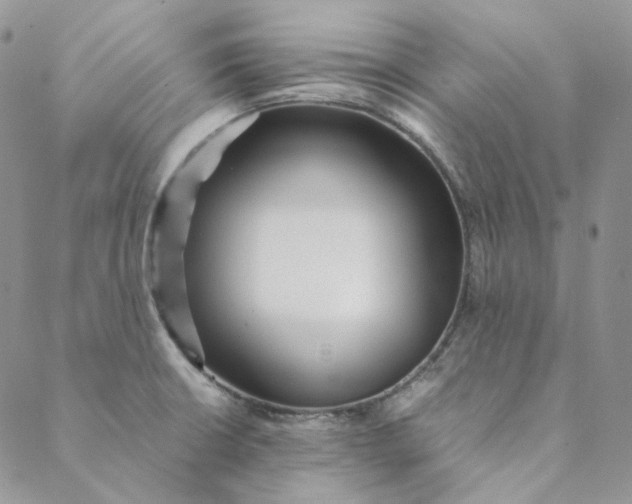 X0000088461426200706121453