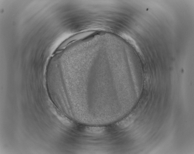 X0000088461427200706121453