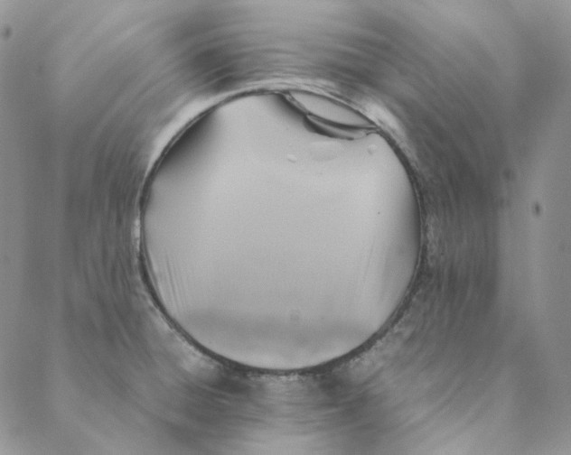 X0000088461428200706121453