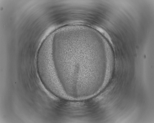 X0000088461429200706121453