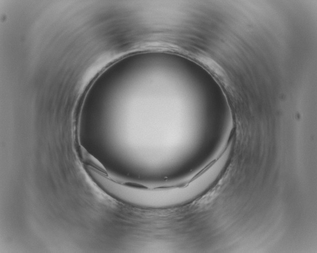 X0000088461430200706121453