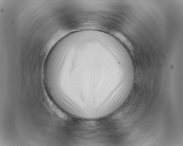 X0000088461431200706121453