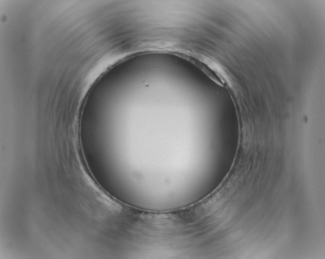 X0000088461432200706121453