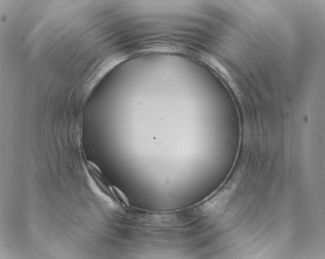 X0000088461433200706121453