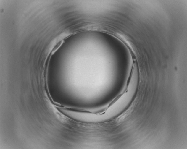 X0000088461434200706121453