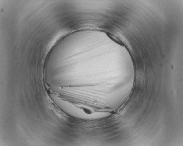 X0000088461435200706121453