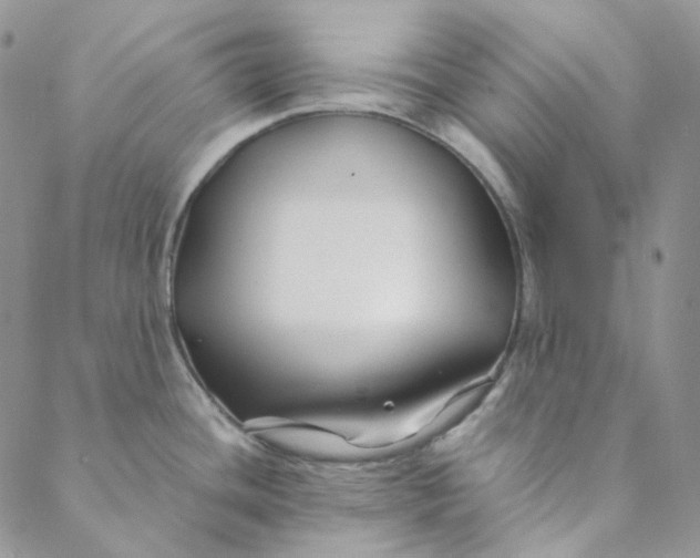 X0000088461436200706121453