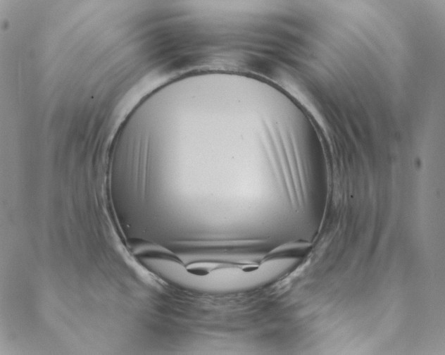 X0000088461437200706121453