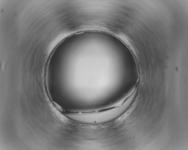 X0000088461438200706121453