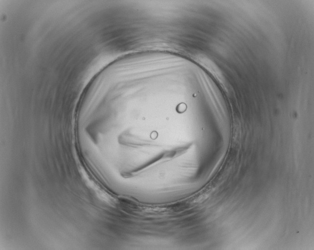 X0000088461439200706121453