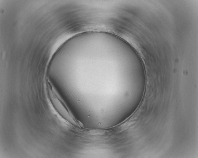 X0000088461440200706121453