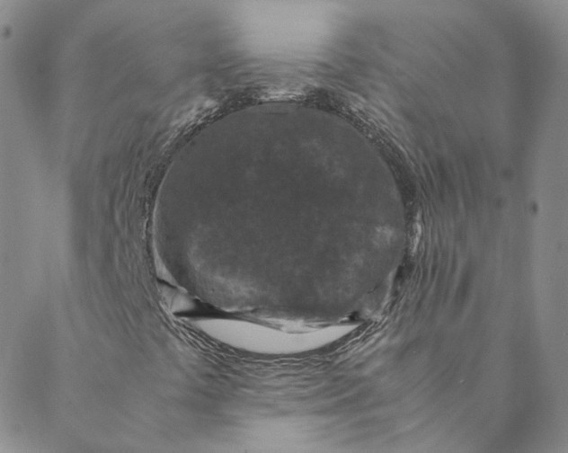 X0000088461441200706121452