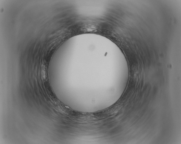 X0000088461442200706121452