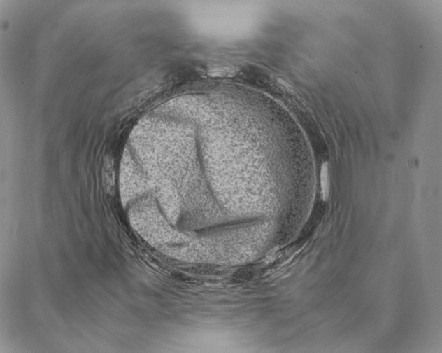 X0000088461443200706121452