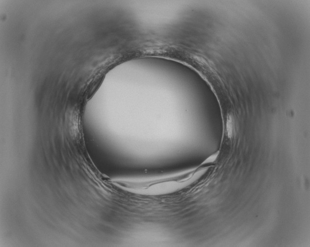 X0000088461444200706121452