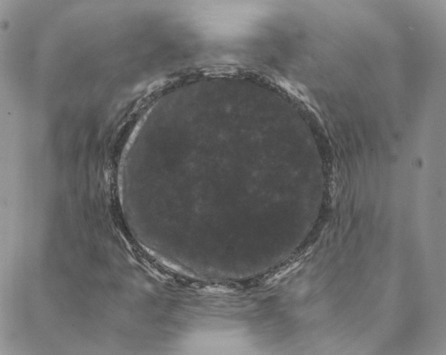 X0000088461445200706121452